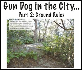 Gun Dog in the City: Part 2 - Ground Rules - page 136 Issue 73 (click the pic for an enlarged view)